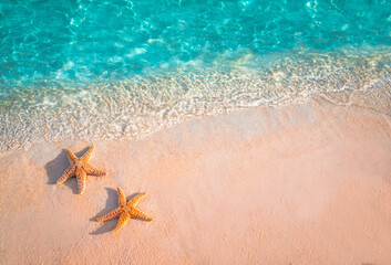 Fototapeta na wymiar Starfish on the summer beach in sea water. Summer background. Summer time.Copy space. 