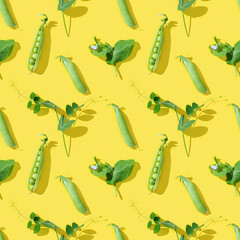 Ripe pod of green pea with small round peas on yellow background. Creative pattern.