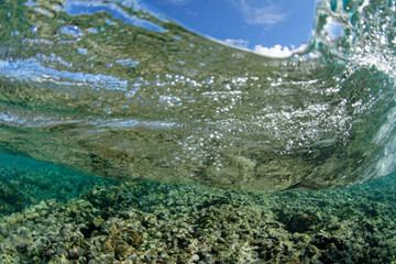 lagon de moorea -  polynesie francaise