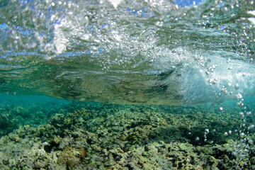 lagon de moorea -  polynesie francaise
