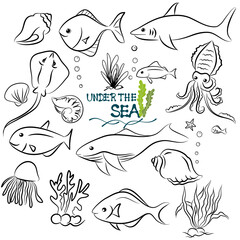 Fototapeta premium doodle style hand drawn, Fish and wild marine animals in ocean. Sea world dwellers, cute underwater creatures, coral reef inhabitants in their natural habitat, undersea fauna of tropics. Flat cartoon 