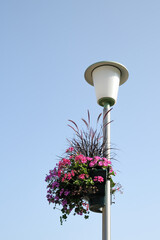 vertical street gardening. flower container on a lamppost on the background of blue sky