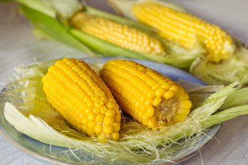 Delicious Sweet  Boiled Corn in a Plate