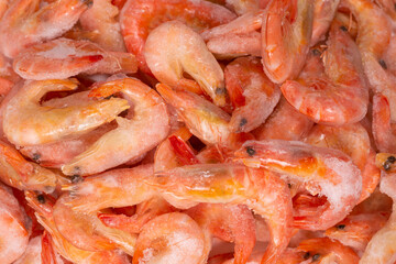 Fresh shrimps in ice. Top view.