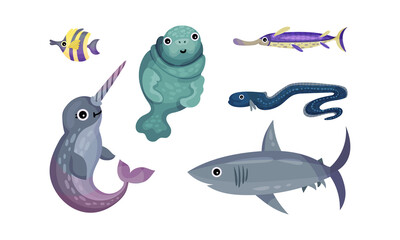 Marine Animals with Narwal and Seal Vector Set