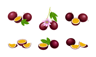 Round Dark Purple Passion Fruit with Juicy Flesh Containing Numerous Seeds Vector Set