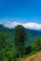 Gomis Mta, Guria region, Georgia