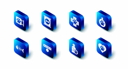 Set Canned food, Veterinary clinic, Collar with name tag, Heart animals footprint, Pet shampoo, Fish skeleton and icon. Vector