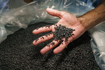 Close up of male hand holding plastic polymer granules