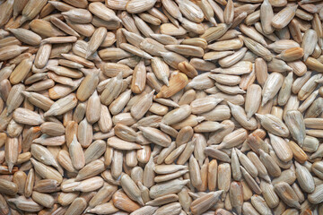 Peeled sunflower seeds background. Close-up of roasted kernel texture. Food background.