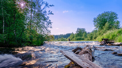 Fly fishing summer fishing in a mountain river. Beautiful nature, forest and sunset.