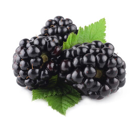 Blackberries isolated on white. Macro.