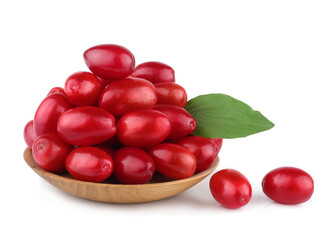 The fruits of dogwood isolated on white background