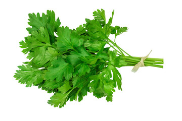 A bunch of fresh parsley isolated on a white background