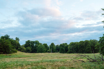 Fototapeta na wymiar Beautiful Danish landscape