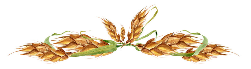 Wheat border watercolor illustration. Template for decorating designs and illustrations.