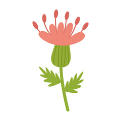 Obraz premium Thistle, a prickly honey plant, with a pink flower. Vector clipart. Cartoon illustration isolated.