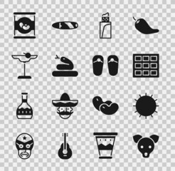 Set Dog, Sun, Chocolate bar, Burrito, Snake, Margarita cocktail, Beans in can and Flip flops icon. Vector