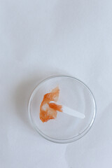 cosmetic cream for care close up