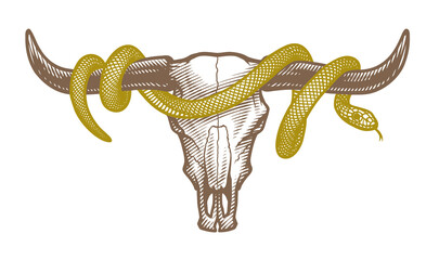 Bull skull and snake. T-shirt print design. Vector illustration.