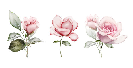 Set of bouquets with roses in a watercolor style. Flowers for greeting cards