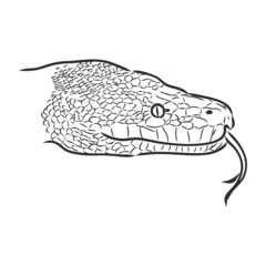 Naklejka premium Black and white sketch of a snake snake python vector sketch