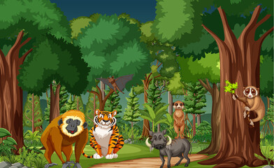 Tropical rainforest scene with various wild animals