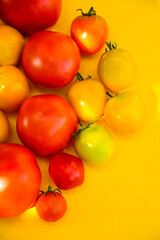 Multi-colored tomatoes isolated on a yellow background. Harvesting. Healthy diet. Shopping in the market