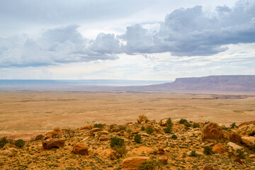 joshua tree national park country