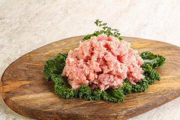 Raw pork minced meat for cooking