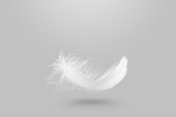 Abstract Light Fluffy A White Feather Falling in The Air.