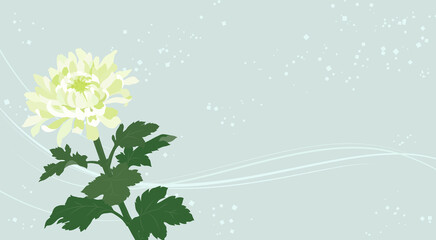上品な菊の花の背景イラスト
