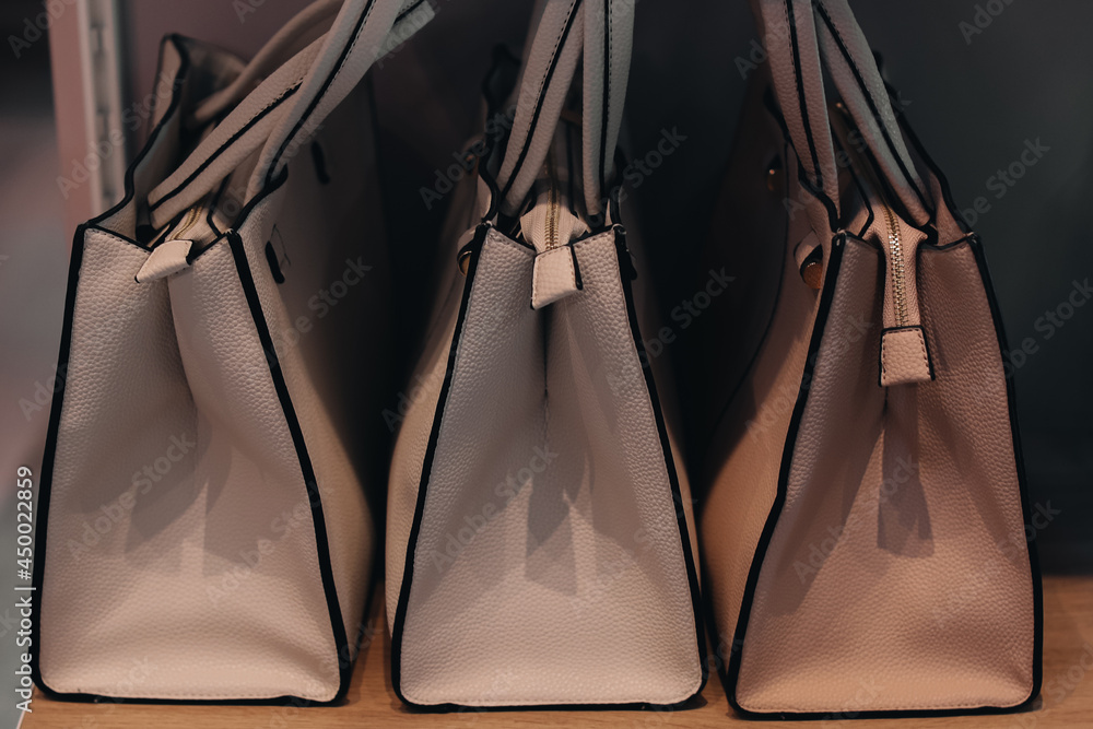 Wall mural Beige handbags standing in a row. Women's fashion