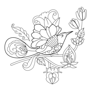 Tropical fancy bird. Black and white picture. Contour linear illustration for coloring book with paradise birds. Line art design for adult or kids  in zentangle style and coloring page.