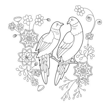 Tropical fancy birds. Black and white picture with parrots. Contour linear illustration for coloring book with paradise birds. Line art design for adult or kids  in zentangle style and coloring page.