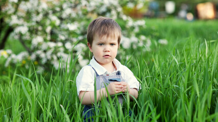 A cute child in a blue overalls and blue eyes plays funny in the tall green grass in a green blooming park