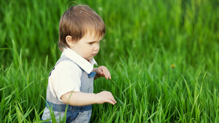 A cute child in a blue overalls and blue eyes plays funny in the tall green grass in a green blooming park