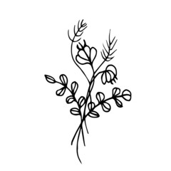 Vector doodle illustration of a bouquet of wild flowers, herbs, twigs on a white background isolated