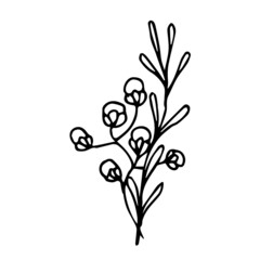 Doodle wind wild berries on a bush. Vector plant on a white background is isolated