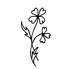 Doodle two wild flower with leaves on a white background isolated