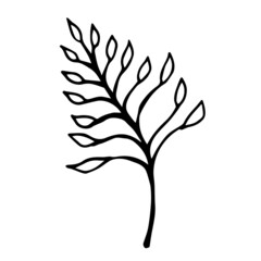 Doodle leaf, great design for any purposes.