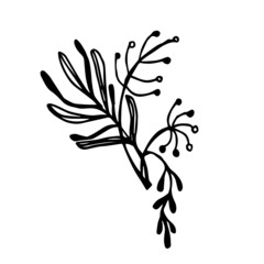 Doodle flower and leaf on white background. Botany decor.Simple line style.