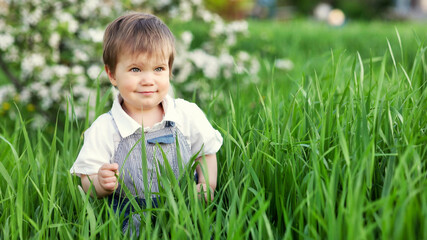 A cute child in a blue overalls and blue eyes plays funny in the tall green grass in a green blooming park