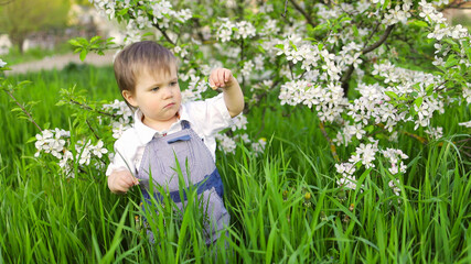 A cute child in a blue overalls and blue eyes plays funny in the tall green grass in a green blooming park