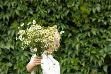 Fototapeta na wymiar funny boy hid behind a bouquet of daisies, the child holds daisies in his hand and wants to give