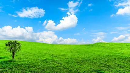 Landscape of grass and sky in the park in spring, Asia,