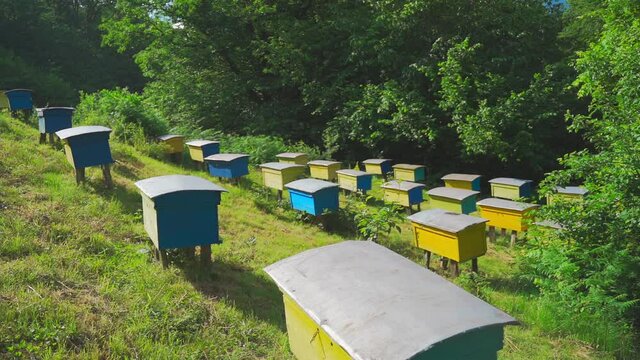 Bee houses in the valley in highlands. Swarm of bees collects honey in the mountains of spring. Wooden bee hives in the garden.