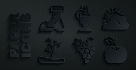 Set Grape fruit, Sun and cloud weather, Bare tree, Apple, Mulled wine and Waterproof rubber boot icon. Vector