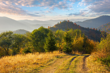 mountain landscape in autumn. trees in colorful foliage on the grassy hills. ridge in the distance...