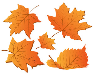 Naklejka na ściany i meble Set of autumn leaves
